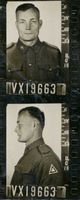 NAOA_VX19663-P.jpg