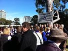 C_SANDELL_1492.jpg