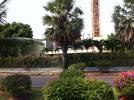 C_SANDELL_1231.jpg