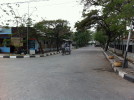 C_SANDELL_1347.jpg