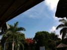 C_SANDELL_589.jpg
