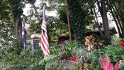 C_SANDELL_2088.jpg