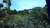 C_SANDELL_2095.jpg