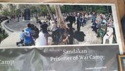 C_SANDELL_2242.jpg