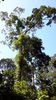 C_SANDELL_3023.jpg