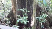 C_SANDELL_3055.jpg