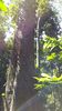 C_SANDELL_3057.jpg
