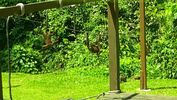 C_SANDELL_3075.jpg