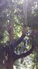 C_SANDELL_3096.jpg