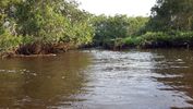 C_SANDELL_3441.jpg