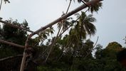 C_SANDELL_3450.jpg