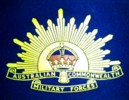 BattalionPennantCloseup.jpg