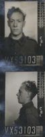 NAOA_VX53103-P.jpg
